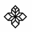 لوگو جسورانه ستاره برتر - جسورانه