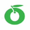 لوگو زیتون نماد پایا - مختلط